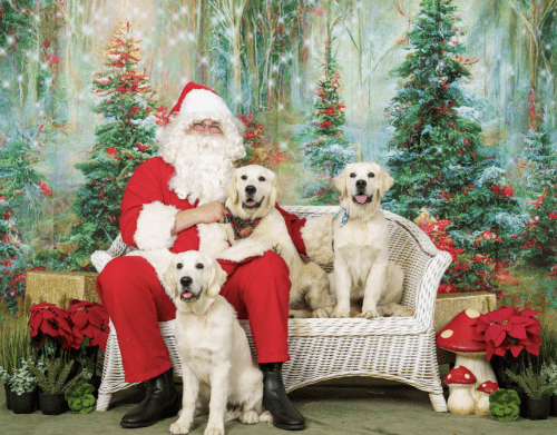 GoldenRetrieverSanta